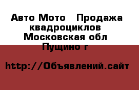 Авто Мото - Продажа квадроциклов. Московская обл.,Пущино г.